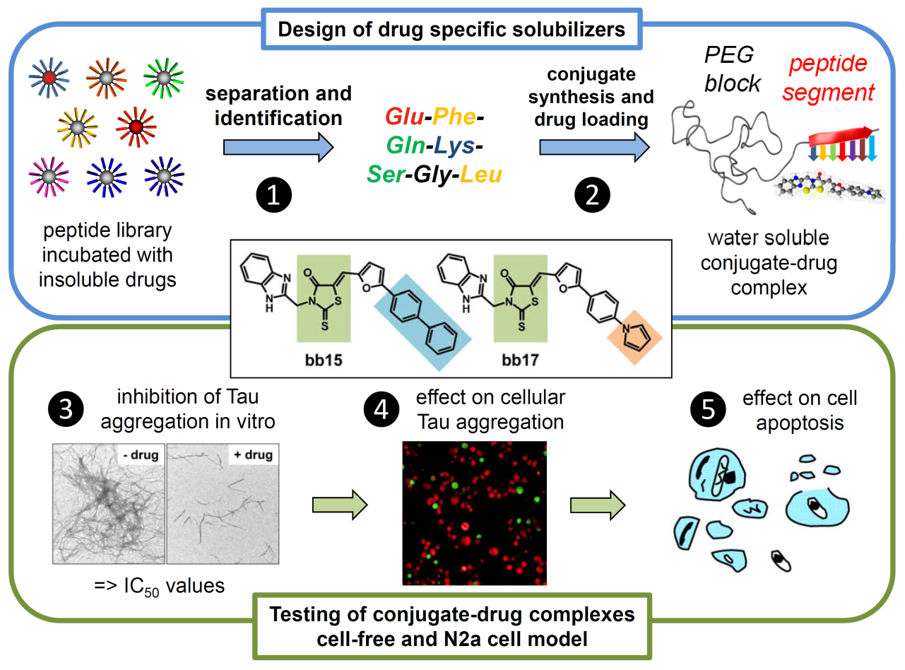 Therapeutic proteins research paper